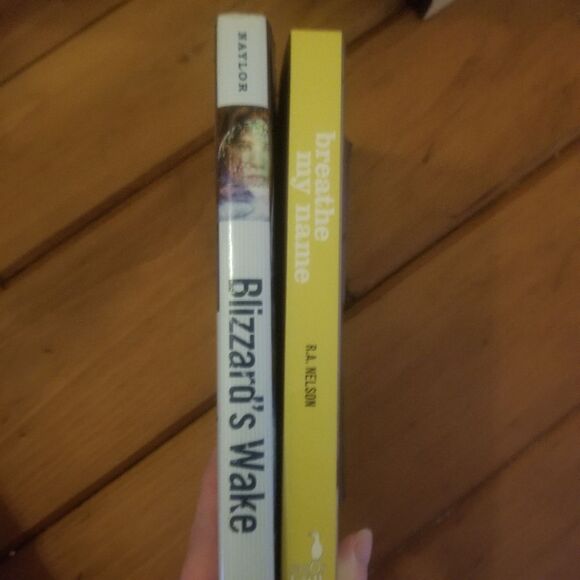 Blizzards Wake and Breathe My Name - Young Adult Books - Picture 6 of 6